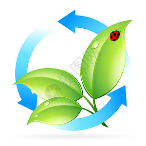 Logo 自然循环利用生物学标识漏洞绿色商业生态环境回收瓢虫植物群背景图片