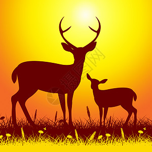 鹿野生动物露露自然保护区和动物背景图片