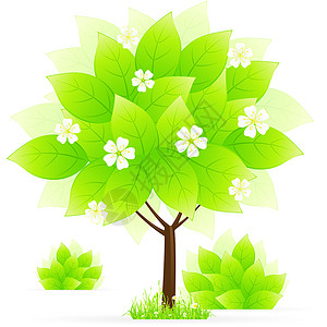 绿树和青草插图环境生态植物衬套回收白色叶子树叶背景图片