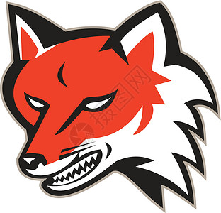 红狐愤怒的头部复古犬类艺术品动物野生动物插图野狗背景图片