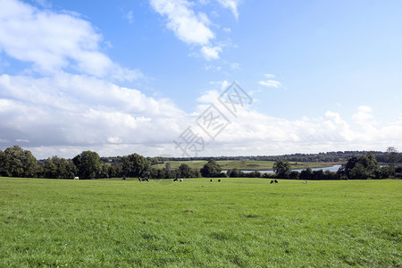 长福(Longford)大片绿地背景图片