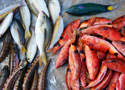 新鲜海鲜 越南鱼市场 营养食品营养库存食物产品展示团体销售鲻鱼空气动物背景图片