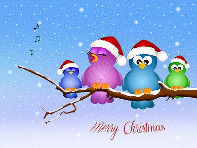 圣诞鸟歌唱乐趣插图袜子庆典交响乐家庭卡通片新年娱乐明信片背景图片