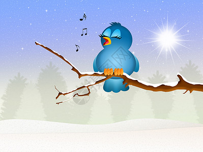 鸟歌唱唱歌卡通片音乐乐趣家庭活动庆典歌手娱乐明信片背景图片