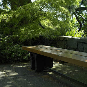 公园中的木板凳座位民众色调美甲木头孤独城市化花园绿化边缘背景图片