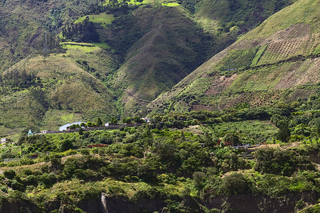 厄瓜多尔Tungurahua省农村景观培育衬套栽培建筑花园果园场地擦洗生产山坡背景图片