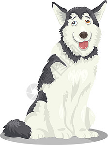 西部利亚雪橇犬霍斯基或恶毒的狗卡通漫画插画