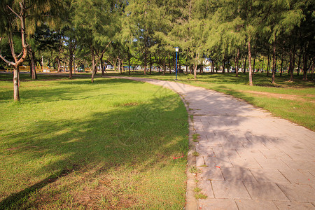 公园的石头路旅行绿色花园风景小路鹅卵石人行道石头途径乡村背景图片