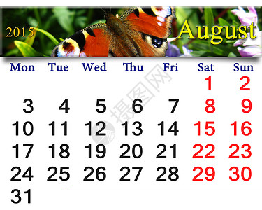 数字蝴蝶2015年8月日历 孔雀眼商业数字翅膀胡子花蜜生活花园日程日记时间背景