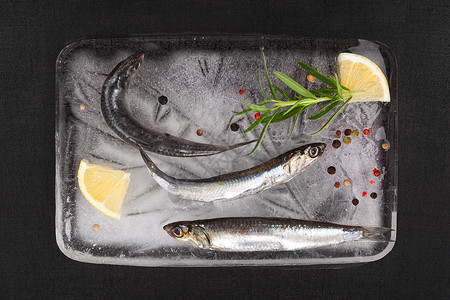 新鲜沙丁鱼在冰上捕鱼动物高清图片素材