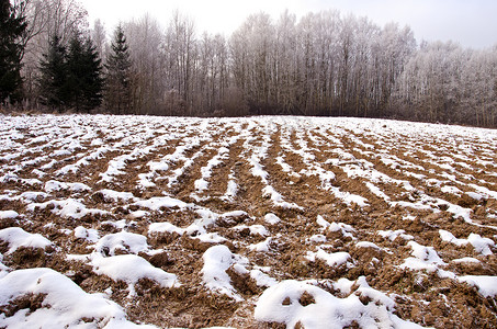 雪覆盖的土地冰冷的农村高清图片
