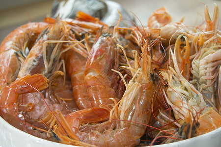 地中海鱼类的鲜鱼大虾动物饮食甲壳纲低音海鲜甲壳小龙虾贝类背景图片