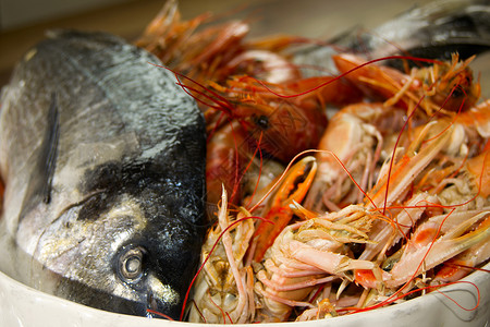 地中海鱼类的鲜鱼动物甲壳纲大虾低音甲壳饮食小龙虾贝类海鲜背景图片