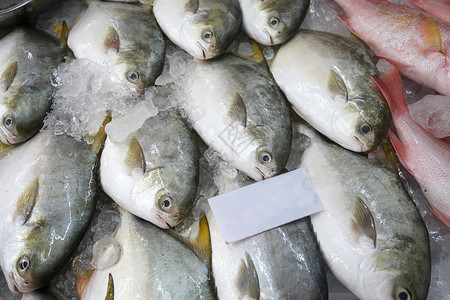 油炸鱼盖上出售的冰面白色的高清图片素材