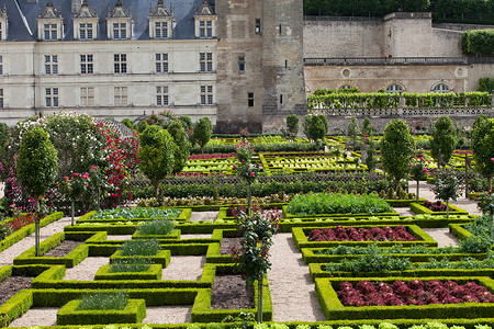 法国卢瓦尔谷花园和城堡葡萄园蔬菜白菜头场景沙拉地标建筑学花园玫瑰凉棚背景