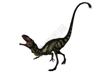 长长恐龙  3d白色插图霸王野生动物绿色龙类爬虫背景图片