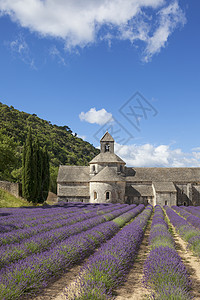 法国夏纳电影节夏光中塞南克修道院背景