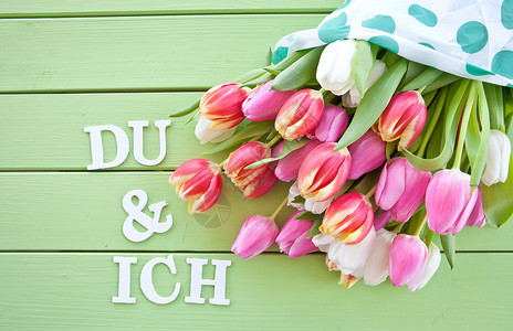 丰富多彩的春花花朵背景红色绿色郁金香礼品券乡村粉色生日礼物背景图片