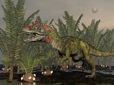 侏罗纪蕨类植物恐龙  3D历史捕食者插图动物风景绿色蜥蜴爬虫月亮总科背景