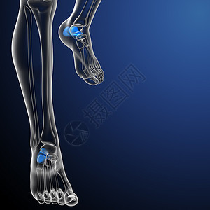 骨骼钙3d 进行医学演示 以说明钙跟骨骨骼骨科医疗药品跗骨手指创伤背景