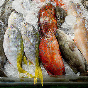 市场封闭背景下各种新鲜鲜鱼海产食品餐厅美味柜台午餐维生素销售钓鱼厨房食物美食海洋高清图片素材
