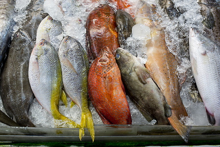 市场封闭背景下各种新鲜鲜鱼海产食品美味鲳鱼食物钓鱼销售午餐烹饪海鲜鲭鱼美食可口高清图片素材