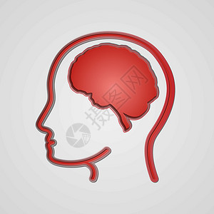 活动头部素材人脑的大脑头部活动智慧生物学成人推理教育智力器官知识分子回忆设计图片