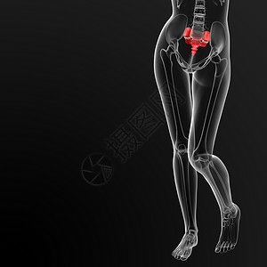 沙姆骨头药品光盘骨干医疗柱子脊柱椎间姿势骨骼尾骨背景图片