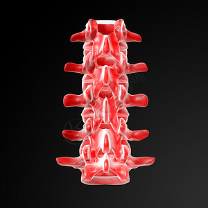 伦巴涡流疼痛髓质骶骨骨干关节剧痛专栏腰椎骨骼背景图片