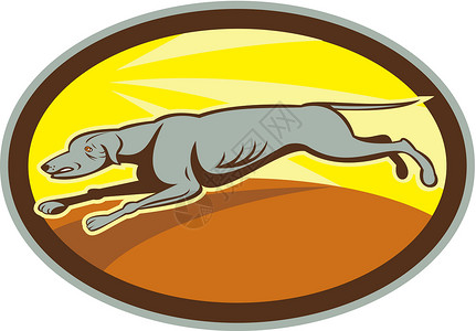 灰狗跳跃侧面 Oval 卡通赛车犬类椭圆形艺术品猎犬宠物卡通片跑步背景图片