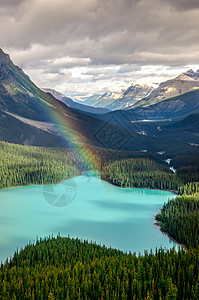 加拿大落基山脉Peyto湖的风景水高清图片素材