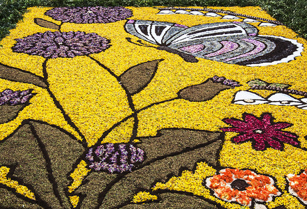 花花装饰叶子植物绿色艺术花瓣黄色红色装饰品庆典花园背景图片