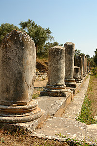 Iasos 古代城旅游城市古董建筑学石头旅行水平火鸡历史柱子背景图片