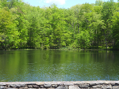 宾夕法尼亚布什基尔瀑布的双湖湖双胞胎湖泊叶子森林飞溅岩石溪流远足树木场景背景图片