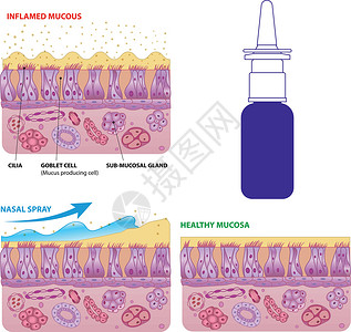 纤毛细胞和微硅病媒计划设计图片