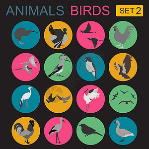 佳沛金奇异果鸟类图标设置 矢量平板样式收藏鸽子翅膀起重机插图家禽动物标识飞行荒野插画