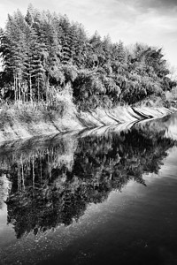 在水上反射树木的池塘公园叶子季节环境黑色风景美丽场景白色植物背景图片