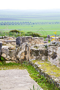 古老的原址 摩洛哥非洲volubilis背景