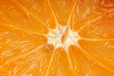 橙色宏水果橙子宏观背景图片
