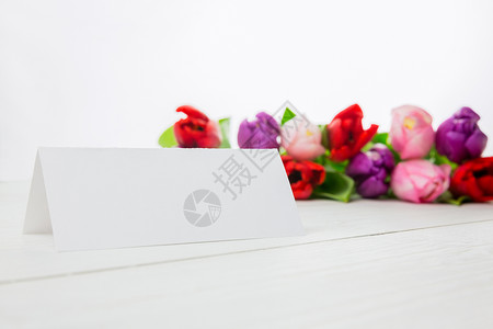 色彩多彩的郁金和白卡树叶笔记绿色叶子植物花瓣花束紫色粉色卡片背景图片