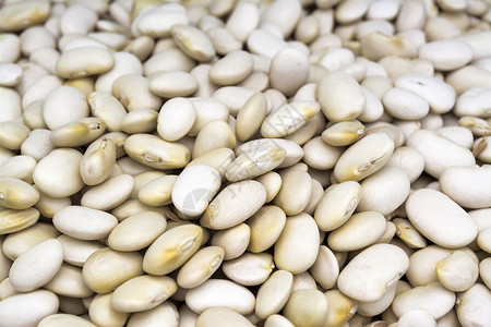 白豆美食豆子营养饮食食物种子烹饪蔬菜白色豆类高清图片