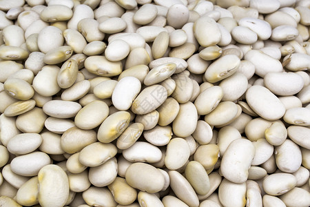 白豆食物蔬菜粮食饮食白色豆类营养豆子种子美食高清图片