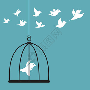 筷笼笼内和笼外鸟鸟的矢量图像飞行麻雀宠物监狱鸟笼自由航班插图动物羽毛设计图片