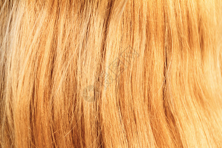 金发护理女士发型女性造型淡黄色奢华沙龙金发女郎头发时尚高清图片素材