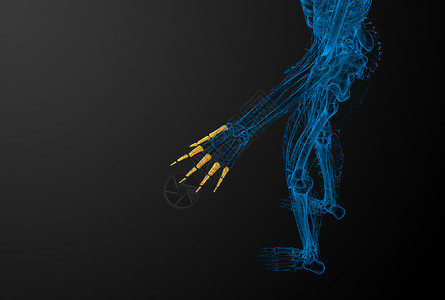 3d 表示人体长颈手的插图手指手臂肌腱手腕风湿病指骨方阵骨骼背景图片