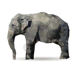 大象横幅折纸动物贴纸艺术荒野身体艺术品标语明信片背景图片