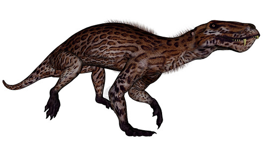 恐龙3D转化历史捕食者食肉爬虫植物蜥蜴灭绝白色野生动物动物背景图片