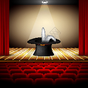 舞台上叶帽魔术师背景图片