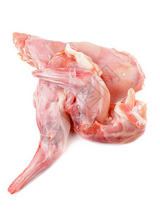 韦瑟勒野味肉白色的高清图片
