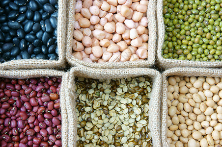 谷物 谷物 健康食品 营养饮食农业种子粮食玉米食物大豆收藏产品黄豆豆子背景图片